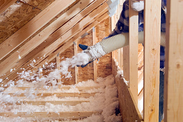 Best Basement Insulation  in Clearwater, MN